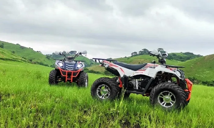 90-Minute Quad Bike Tour for 2 at NPS Adventures