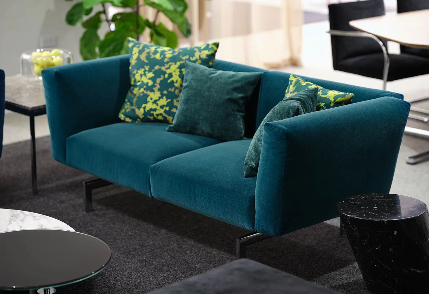 Avio Compact Sofa