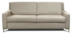 Bryson Comfort Sleeper