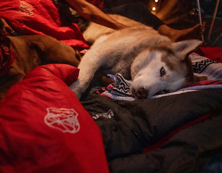 IKAMPER | RTT Blanket (BC017-001)