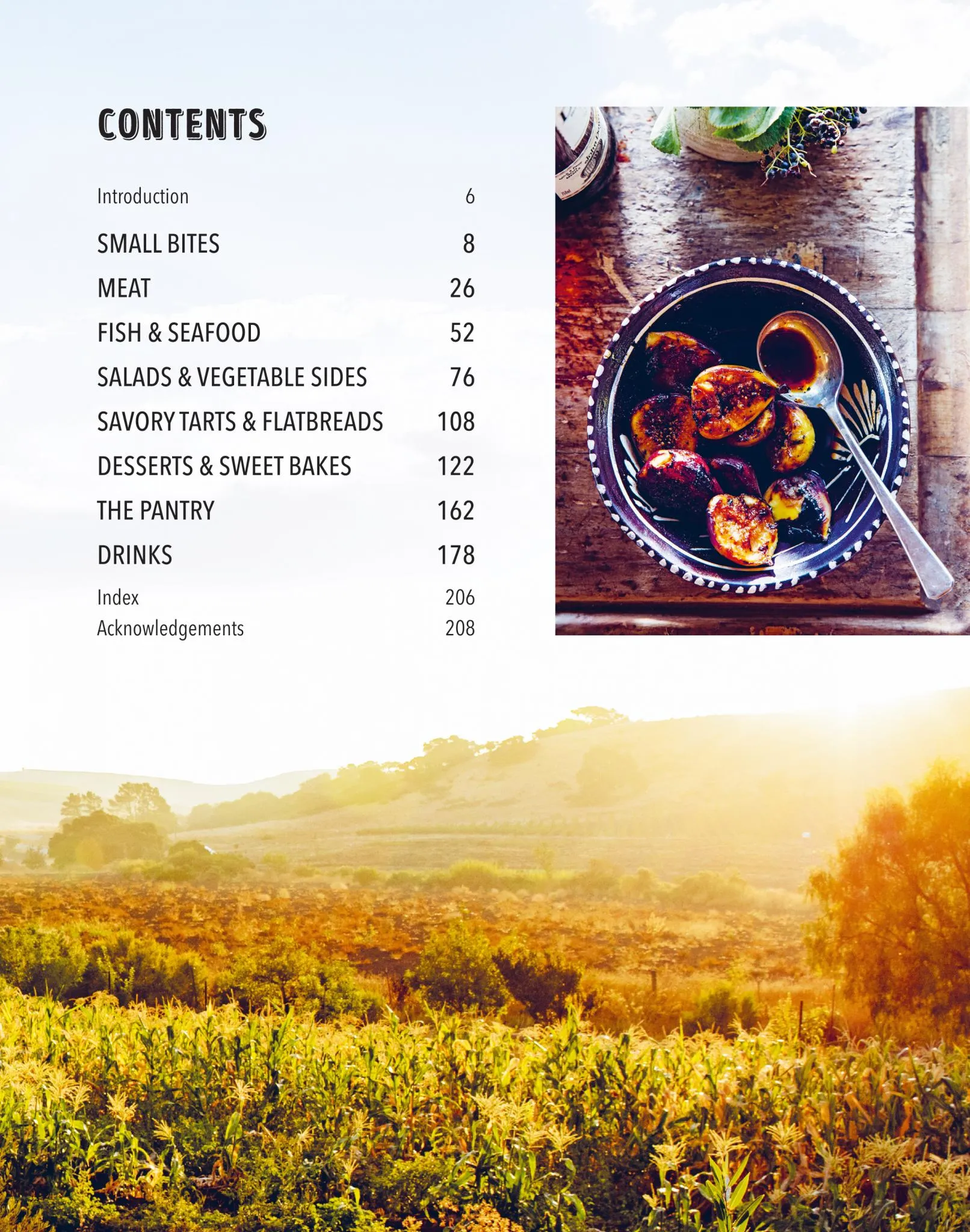 Summer Feasting from the Fire
