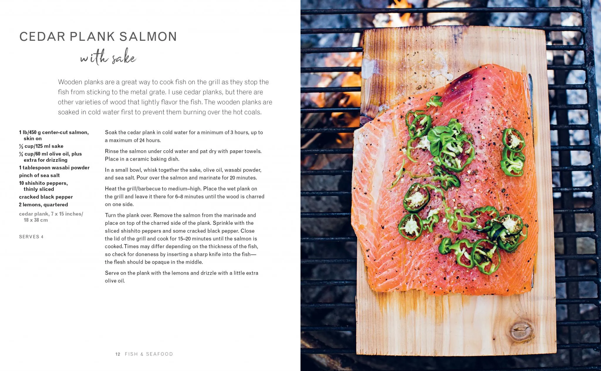 Summer Feasting from the Fire